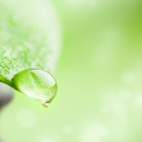 Head to Foot Oasis Wellness Clinic About Us Image