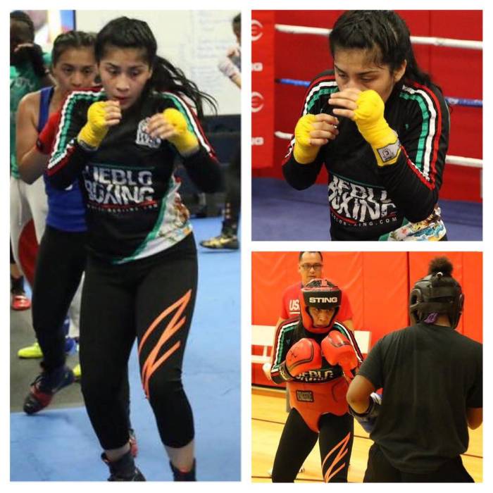 Chd Boxing Wichita Ks at Serena Westbrook blog