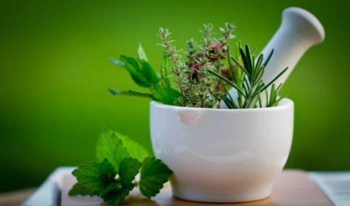 Herbal Medicine article image