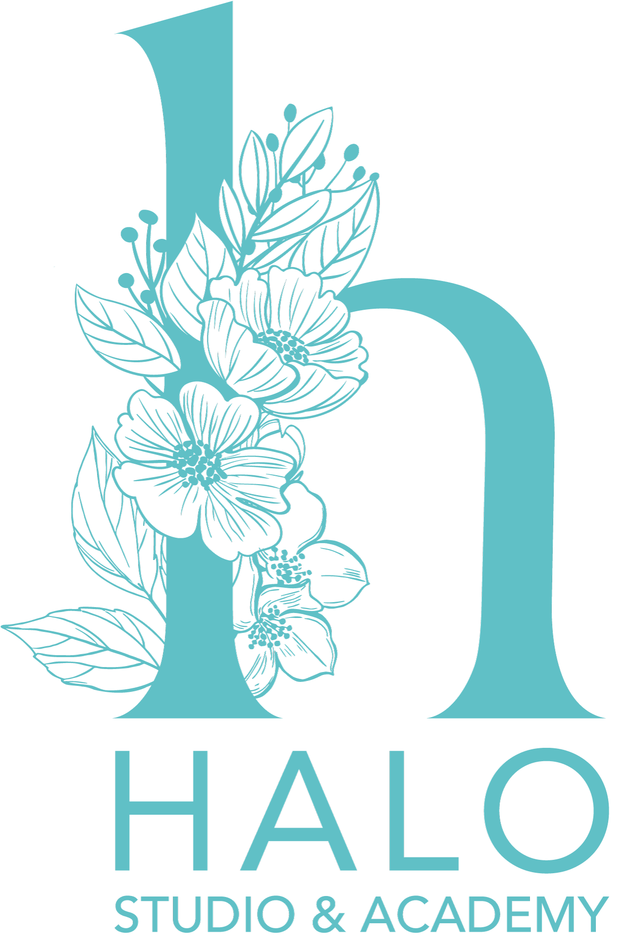 HALO Studio, Inc. Logo