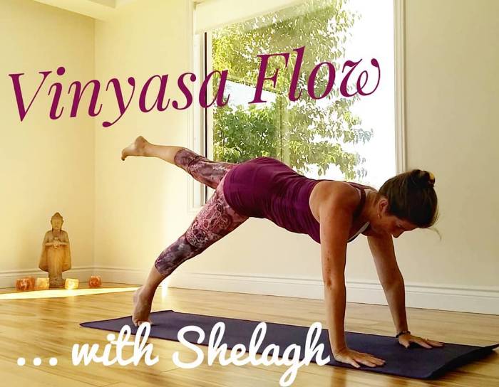 The Yoga Hub About Us Image