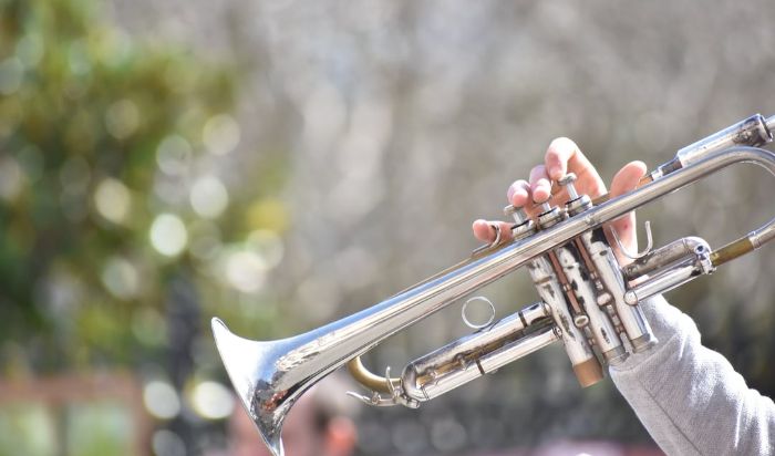 Brass/Woodwind Lessons article image