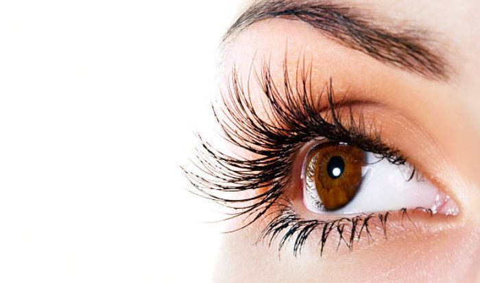 Eyelash and Brow Extensions / Tinting article image