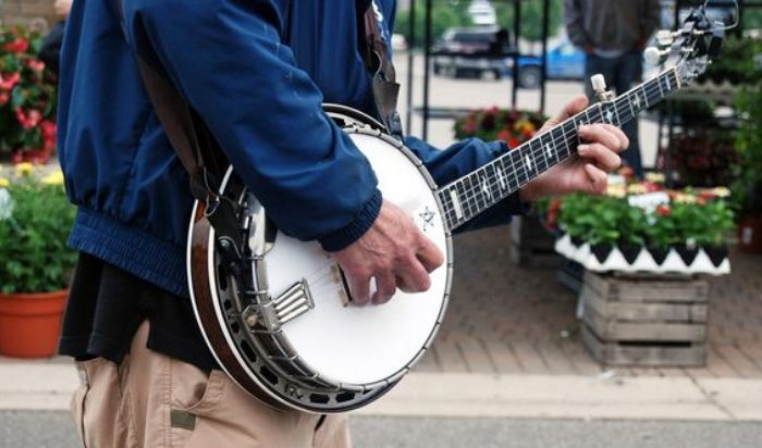 Folk Instrument Lessons article image
