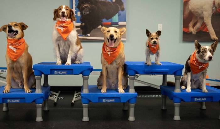 More Than a Class — a Community