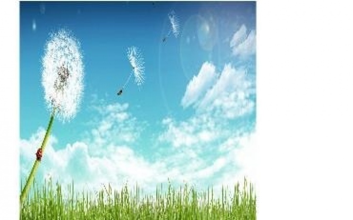 https://referrizer-images.s3.us-east-2.amazonaws.com/65f0cfb640fbbaea9d71ff813a8a2051.jpeg