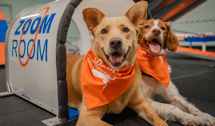 Real-World Socialization, Safely