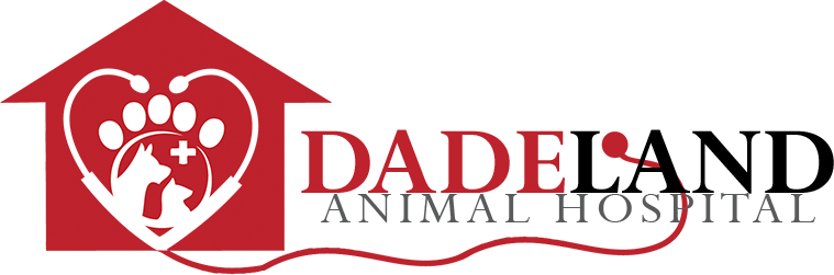Dadeland Animal Hospital About Us Image