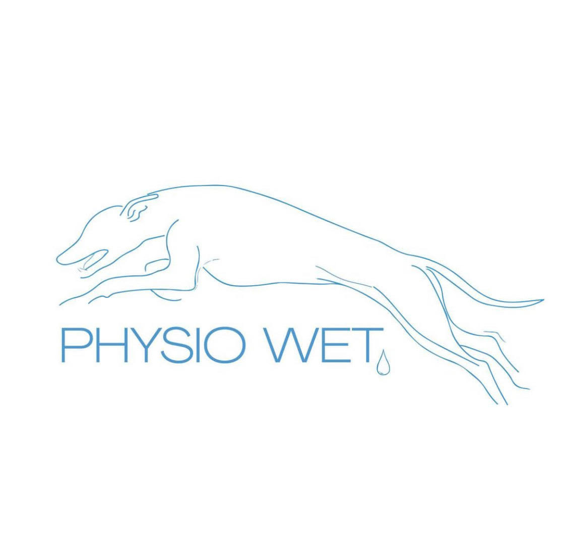 Physio Wet Logo