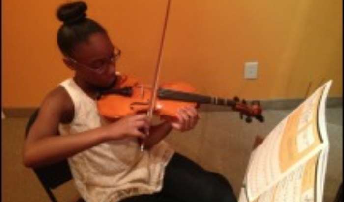 VIOLIN LESSONS article image