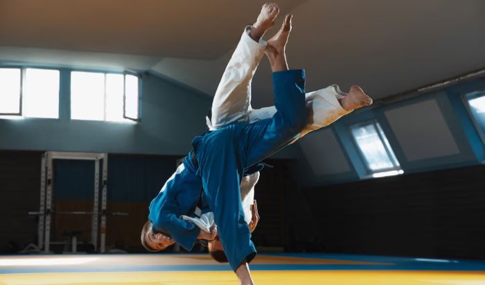 Brazilian Jiu Jitsu article image