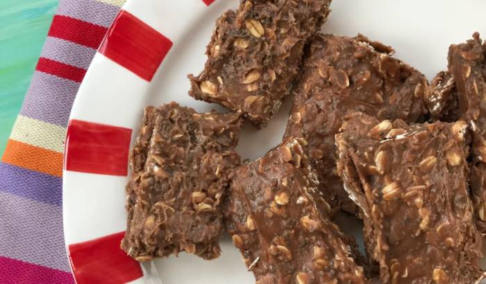 No-Bake Hemp Protein Bars