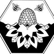 Madhu Wellness Collective About Us Image