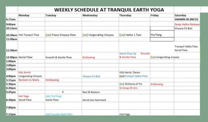 Tranquil Earth Yoga Online & center About Us Image