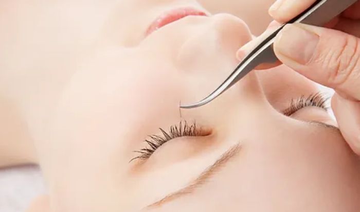 Lashes article image