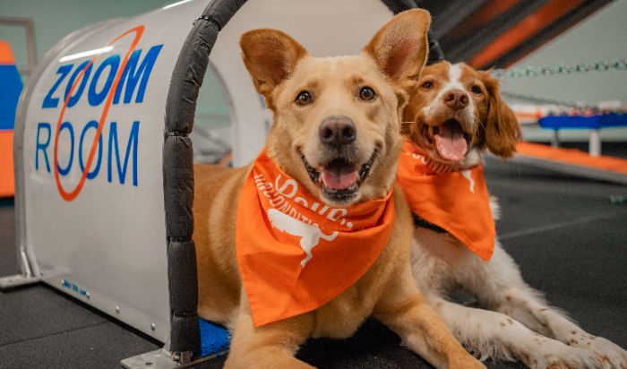 Enrichment article image