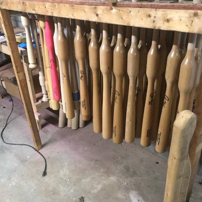 camwood bats 30 day program