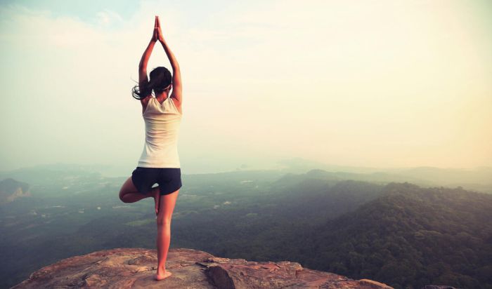 Integrative Wellness + Yoga + PTA article image