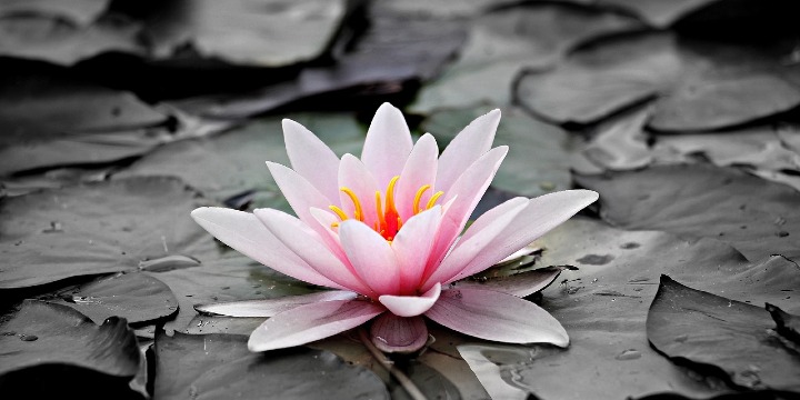 Experience 2 hours in the revolutionary Energy Enhancement System for just $60 – that's Buy 1 Hour, Get 1 FREE! offer image