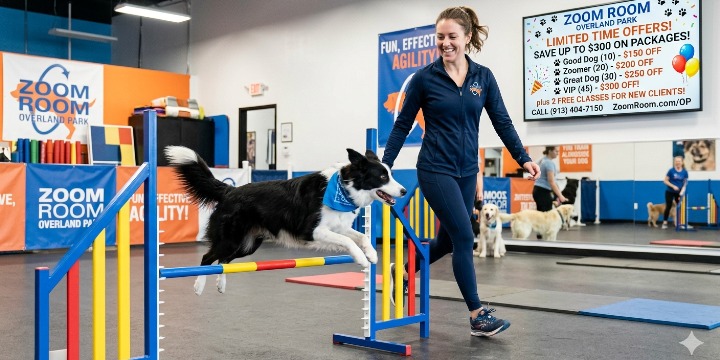 Flash Sale - Save up to $300 on training packages offer image