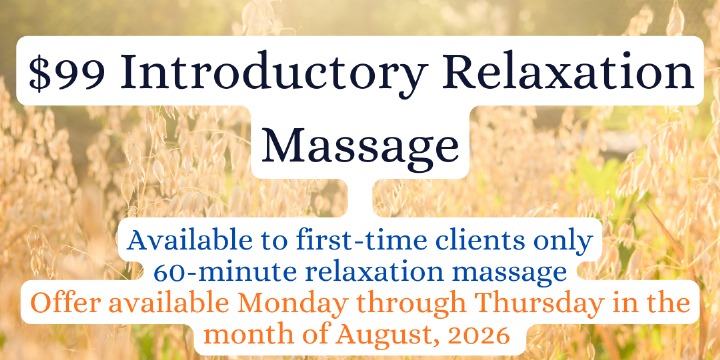 $99 Introductory Relaxation Massage offer image