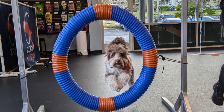 March Madness Special: 16% OFF on EVERYTHING! offer image