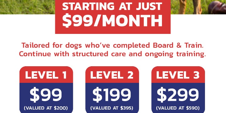 The Ultimate Dog Monthly Memberships offer image
