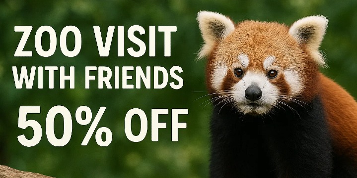 40% of 3 Month Membership offer image