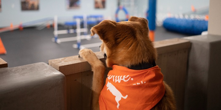 Get 50% OFF on your Next Package offer image