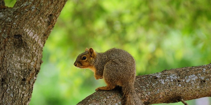 20$ off zoo visit offer image