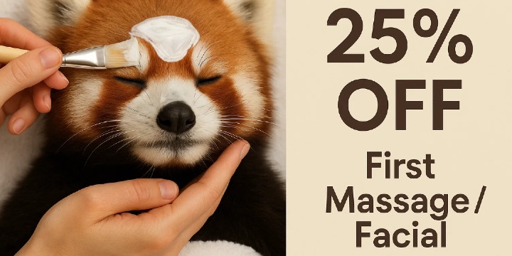 ✨New Client Special✨ 25% OFF Your First Massage or Facial offer image