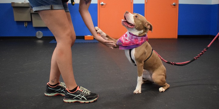 New Client Special: 15% OFF Your First Package offer image