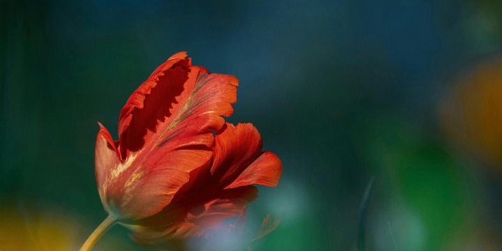 $49 for First Month Membership offer image