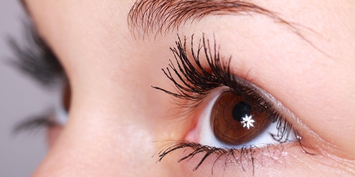 25% OFF Lash Lift & TInt  offer image