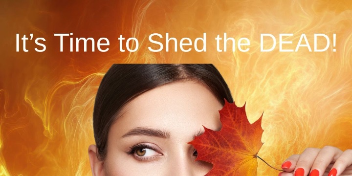 Shed the Dead Event - Thursday November 6th offer image